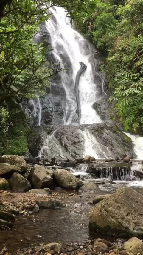 Fresh Waterfall, Garut, West Java, Indonesia. Видео 343560712