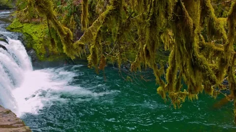 Fresh waterfall in the middle of the forest. 4K Footage Stock Footage 245957966