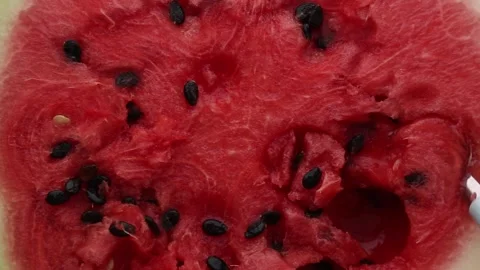 Fresh watermelon chunks with spoon - ASMR relaxing sounds Video stock 314332969