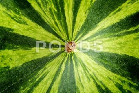 Fresh watermelon closeup Stock Photos