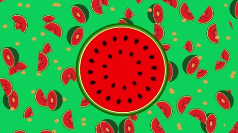 Fresh Watermelon Icon Stock Footage 303947393