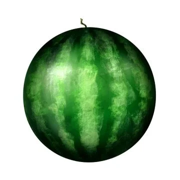 Fresh watermelon, isolated on white Stock Illustration