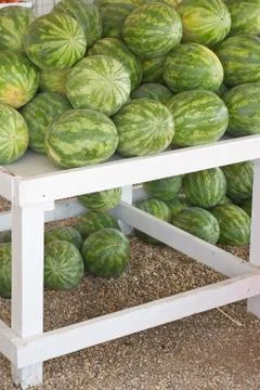 Fresh watermelon Stock Photos