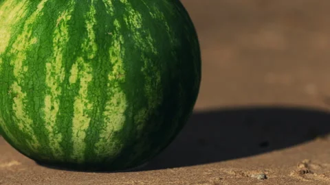 Fresh watermelon placed on a surface under sunlight in an outdoor setting Stock Footage 340978927