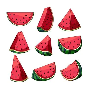 Fresh watermelon slices vector illustration summer fruit 스톡 일러스트