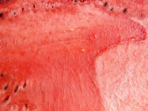 Fresh watermelon in the summer. macro view 写真素材