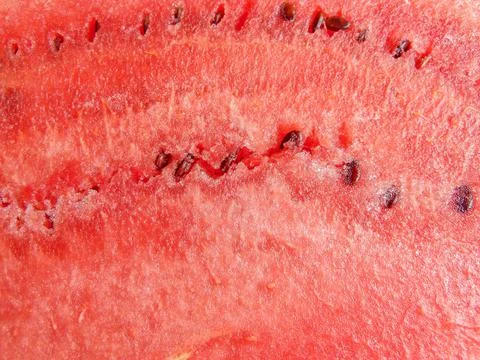 Fresh watermelon in the summer. macro view Fotos Stock