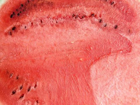 Fresh watermelon in the summer. macro view Stock Photos