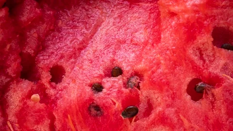 Fresh Watermelon Texture Close Up Stock Footage 343662443