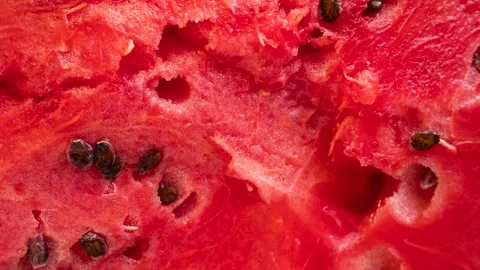 Fresh Watermelon Texture Close Up Stock Footage 343662445