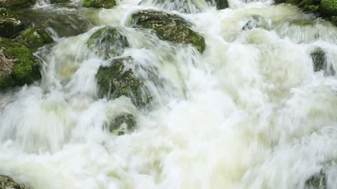 Fresh Wellspring flowing through the forest, Austria Stock Footage 137210934