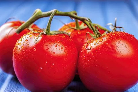 Fresh wet tomatoes on blue table. Stock Photos