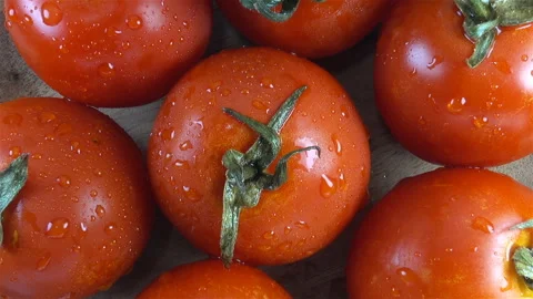 Fresh wet tomatoes close-up Stock Footage 138264861