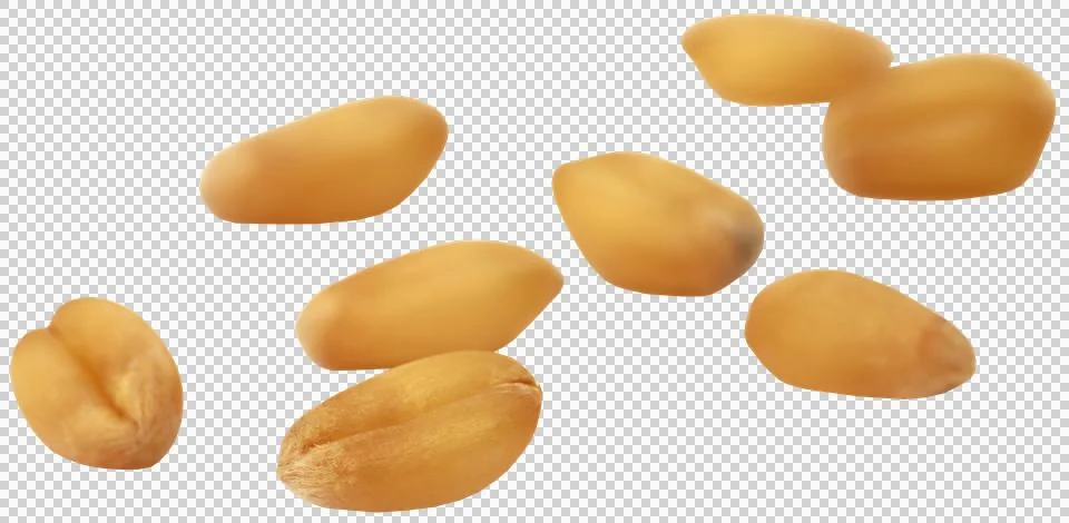 Fresh Wheat Stock Photos