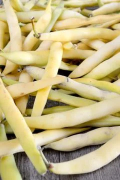 Fresh white beans Stock-Fotos