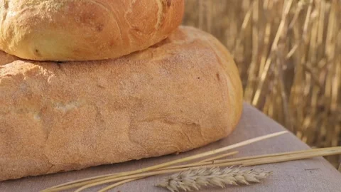 Fresh white bread on linen cloth with grains, ears of wheat in golden wheat Stockbeeldmateriaal 200509385