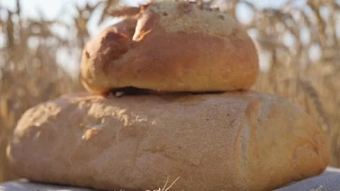 Fresh white bread on linen cloth with grains, ears of wheat in golden wheat Stockbeeldmateriaal 201144970