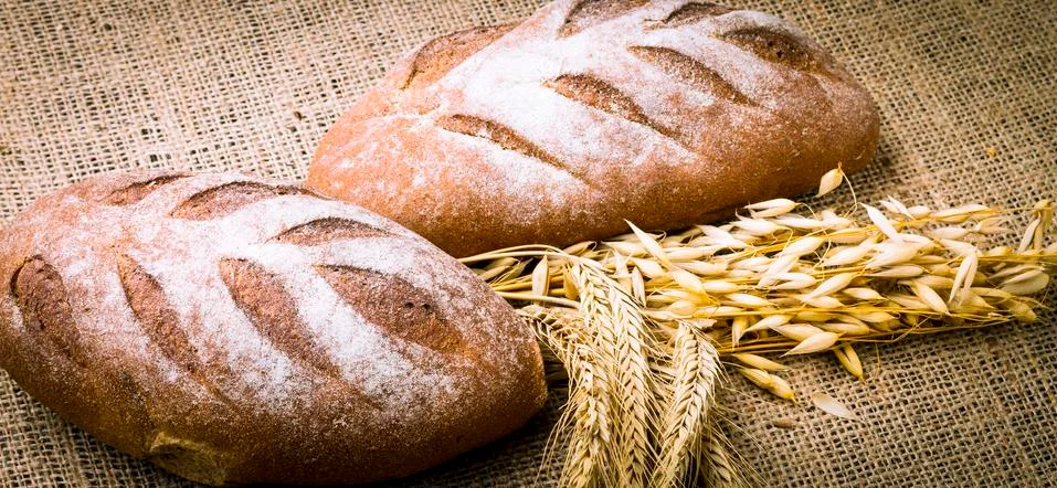 Fresh white bread Stock Photos