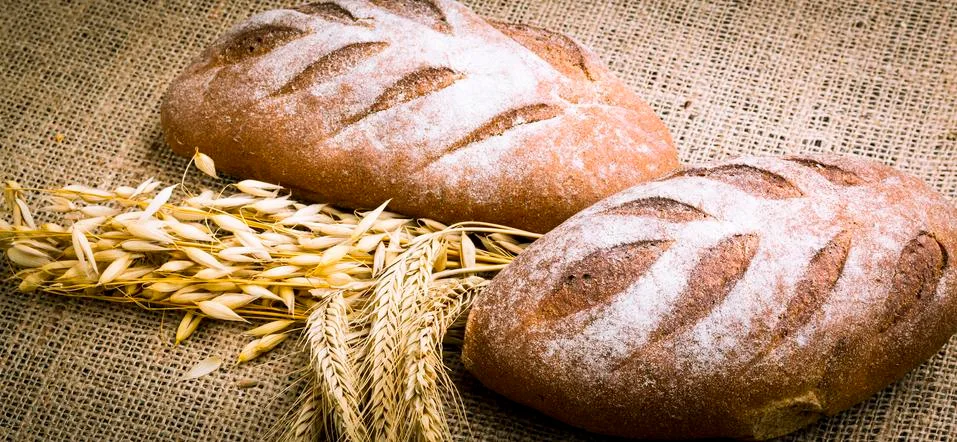 Fresh white bread Stock Photos