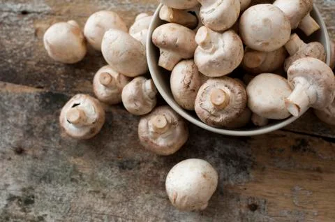 Fresh white button or field mushrooms Stock Photos