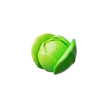 Fresh white cabbage in 3D vector icon. Isolated background. Ilustración de archivo