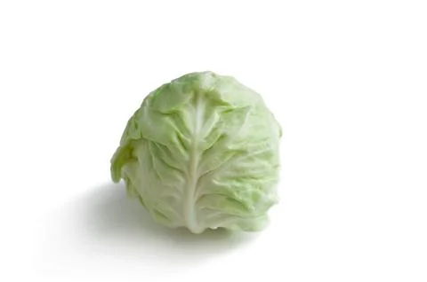 Fresh white cabbage  Stock Photos