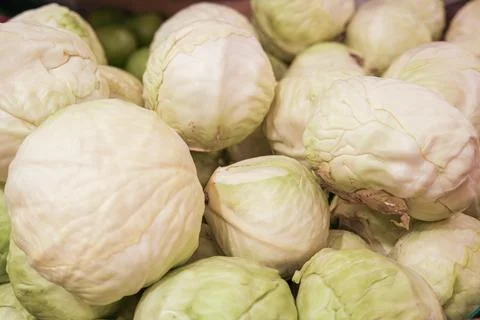 Fresh white cabbage in store Stock Photos
