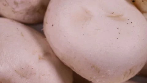 Fresh white champignons spin slowly. macro background Stock Footage 118467257