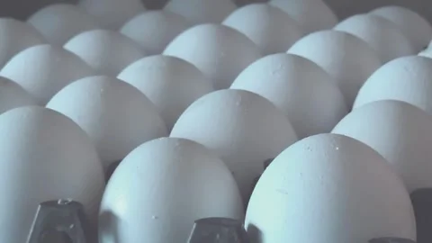 Fresh White Chicken Eggs Nestled in Parallel Rows within a Grid Tray Container,  스톡 동영상 344035916