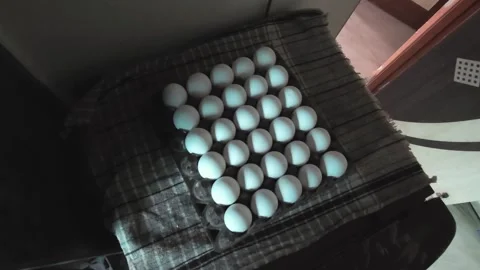 Fresh White Chicken Eggs Rested on a Fabric Mat Inside a Cardboard Alternative O Stock Footage 344036927