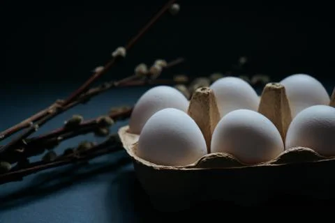 Fresh white easter eggs in carton box and williw catkins isolated on dark Stock Photos