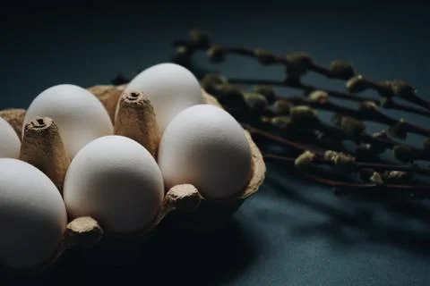 Fresh white easter eggs in carton box and williw catkins isolated on dark Stock Photos