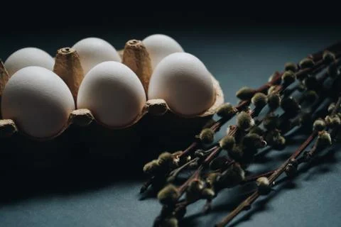 Fresh white easter eggs in carton box and williw catkins isolated on dark Stock Photos