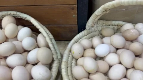 Fresh White Eggs in Wicker Baskets at the Market Stock Footage 345303999