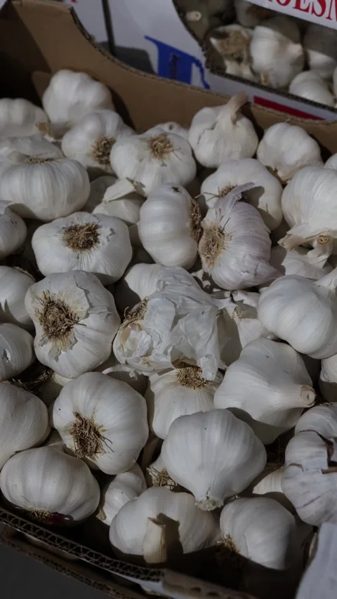 Fresh white garlic bulbs sold in bulk at a grocery market stall Vídeos de archivo 345978698
