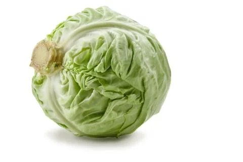 Fresh white-headed cabbage isolated on white background. Ripe vegetable, summer Stock Photos