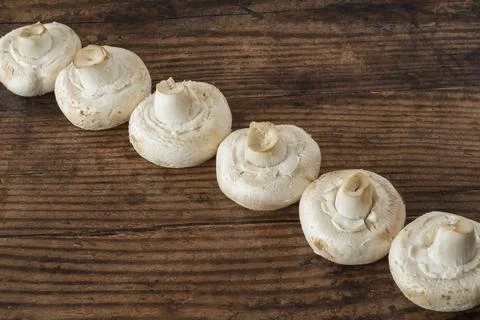 Fresh white mushrooms rest on rustic wooden surface 스톡 사진