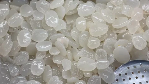Fresh white palm fruit seeds or kolang kaling for dessert ingredient Stock Footage 340484048