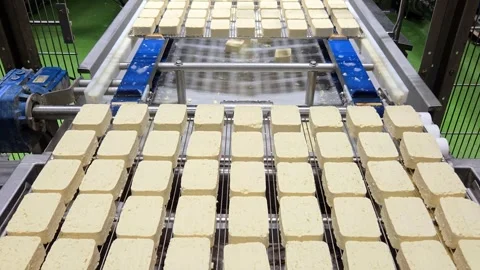Fresh White Tofu Blocks Moving on Conveyor Belt Line 8K Vídeo Stock 332874920