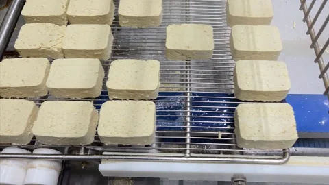 Fresh White Tofu Blocks Moving on Conveyor Belt Line 8K Vídeo Stock 332874923