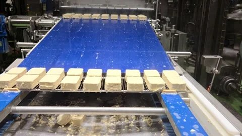 Fresh White Tofu Blocks Moving on Conveyor Belt Line 8K Vídeo Stock 332874925
