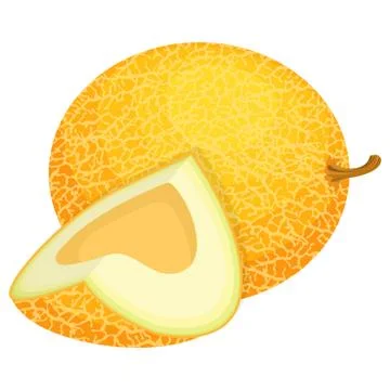Fresh whole and cut slice melon fruit isolated on white background. Honeydew  Stock Illustration