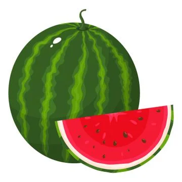 Fresh whole and cut slice watermelon fruit isolated on white background. Summ Stock Illustration