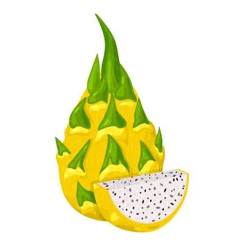 Fresh whole and cut slice yellow pitaya fruits isolated on white background.  Illustrazione stock