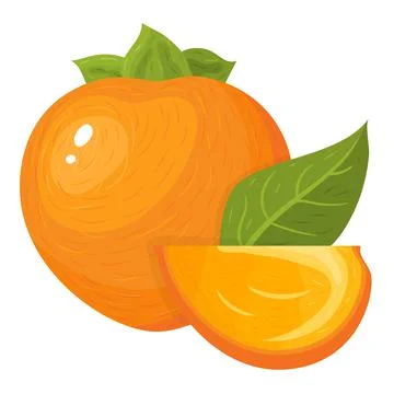 Fresh whole and cut slice persimmon fruits isolated on white background. Summ Stock Illustration