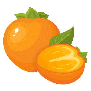 Fresh whole and half cut persimmon fruits isolated on white background. Summe Stock Illustration