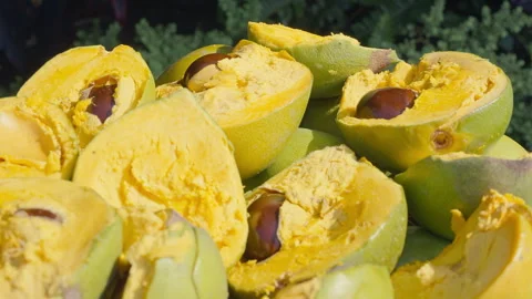Fresh Whole and Sliced Peruvian Lucuma Fruit in a White Bowl Stock Footage 341439329