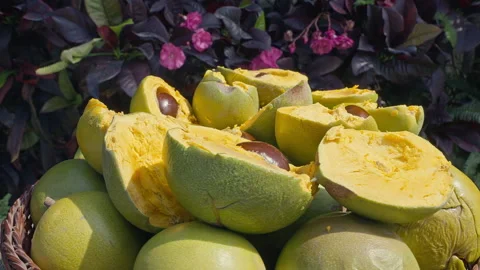 Fresh Whole and Sliced Peruvian Lucuma Fruit in a White Bowl Stock Footage 341439335