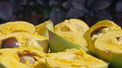 Fresh Whole and Sliced Peruvian Lucuma Fruit in a White Bowl Video stock 341439338