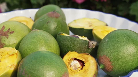 Fresh Whole and Sliced Peruvian Lucuma Fruit in a White Bowl Stock Footage 341439340